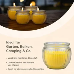 Citronella Kerze in Glas