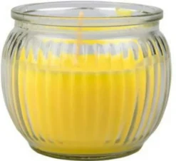 Citronella Kerze in Glas