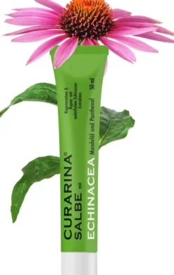 Curarina Salbe Mit Echinacea 50 ml Salbe
