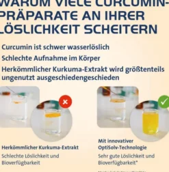 Curcumin Hevert Optisolv Kapseln 60 Stück