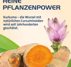 Curcumin Hevert Optisolv Kapseln 60 Stück