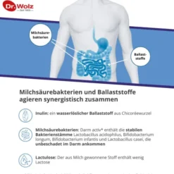 Darm Activ Dr.Wolz 400 G Pulver
