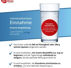 Darm Activ Dr.Wolz 400 G Pulver
