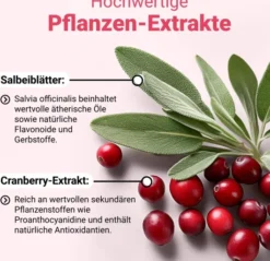 Döderlein Cystobiotic Milchsäurebakterien + Cranberry Biotin 10...