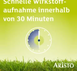 Desloratadin Aristo 5 mg 20 Filmtabletten