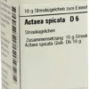 Dhu Actaea Spicata D6 10 G Globuli