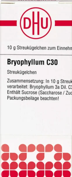 Dhu Bryophyllum C30 Globuli 10 G