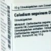 Dhu Caladium Seguinum D6 Globuli