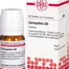 Dhu Colocynthis D8 80 Tabletten