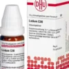 Dhu Ledum C30 10 G Globuli