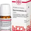Dhu Rhus Toxicodendron C9 Tabletten