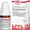 DHU Rhus Toxicodendron D12 10 g Globuli