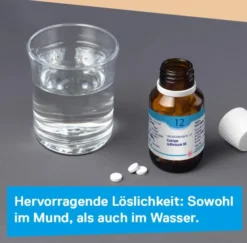 DHU Schüßler-Salz Nr. 12 Calcium sulfuricum D6 200 Tabletten