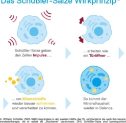 DHU Schüßler-Salz Nr.3 Ferrum phosphoricum D12 80 Tabletten