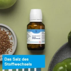 DHU Schüßler-Salz Nr. 9 Natrium phosphoricum D6 420 Tabletten