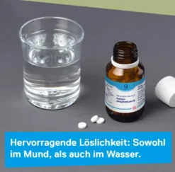 DHU Schüßler-Salz Nr. 9 Natrium phosphoricum D6 200 Tabletten