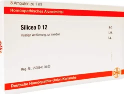 Dhu Silicea D12 8 X 1 ml Ampullen