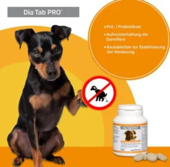 Dia Tab Pro Kautabletten für Hunde und Katzen 100 g