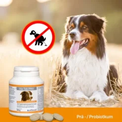 Dia Tab Pro Kautabletten für Hunde und Katzen 100 g