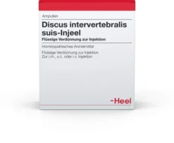 Discus Intervertebralis Suis Injeel Ampullen 10 Ampullen