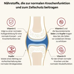 Doppelherz system Kollagen 11.000 Plus System 30 x 25 ml Ampullen