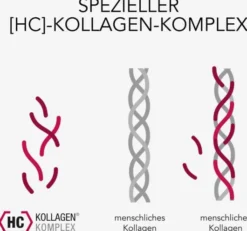 Elasten Trinkampullen 28 Stück