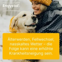 Engystol T Ad Us. vet. 500 Tabletten