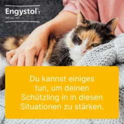 Engystol T Ad Us. vet. 500 Tabletten