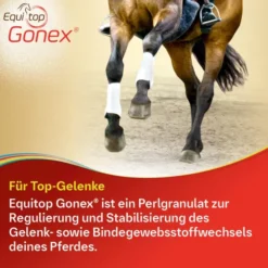 Equitop Gonex vet. 750 g Granulat