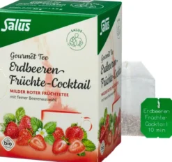 Erdbeer Früchtecocktail Tee Salus 15 X 2 G Tee