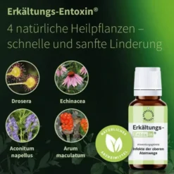 Erkältungs Entoxin 100 ml Tropfen