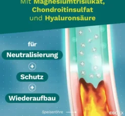Esoxx Reflux Defence Kautabletten 20 Stück
