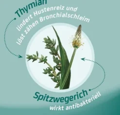 Eucabal Hustensaft 250 ml Saft