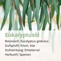 Eukalyptus Öl Naturrein Ätherisch 10 ml