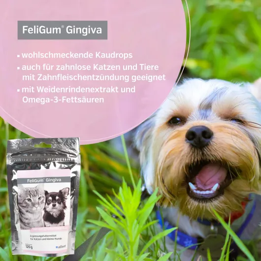 FeliGum Gingiva 60 Kaudrops für Katzen und kleine Hunde