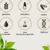 Fermentura BlasenVital 60 Kapseln