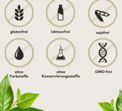 Fermentura BlasenVital 60 Kapseln