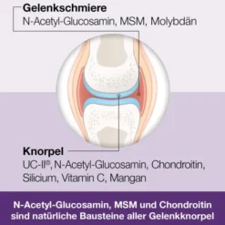 Flexiloges Knorpel Aktiv 120 Kapseln