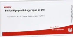 Folliculi Lymph. Aggr. Gl D 8 Ampullen