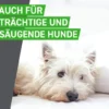 Frontline Combo Spot On Hund S 2-10 kg 6 Pipetten