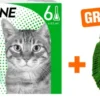 Frontline Combo Spot on Katze 6 Pipetten + gratis Baldriankissen für Katzen 1 Stück