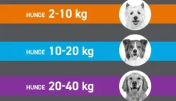 Frontline Spot On Hund M 10-20 kg 6 Pipetten