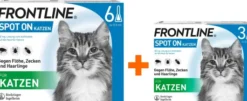Frontline Spot on Katze 6+3 Pipetten
