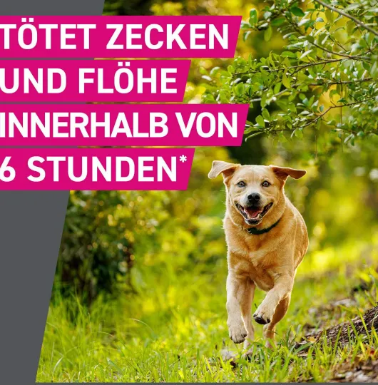 Frontline TRI-ACT Hund 2-5 kg 6 Pipetten