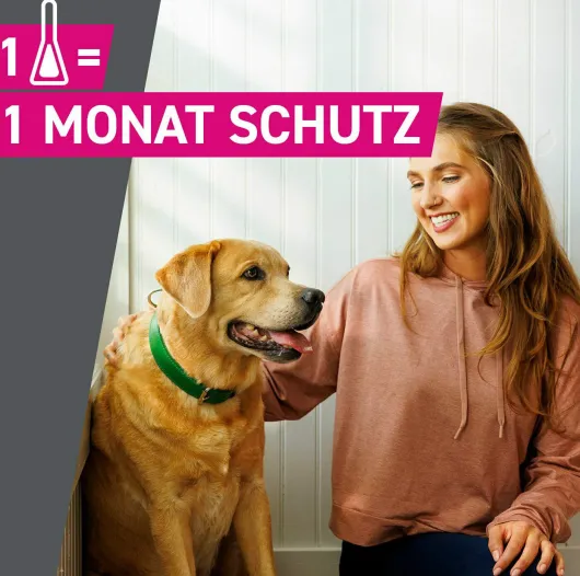 Frontline TRI-ACT Hund 2-5 kg 6 Pipetten