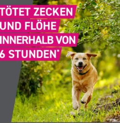 Frontline TRI-ACT Hund 10-20 kg 6 Pipetten