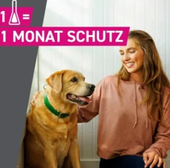 Frontline TRI-ACT Hund 40-60 kg 3 Pipetten