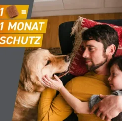 Frontpro 68 mg für Hunde 10-25 kg 3 Kautabletten
