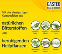 Gasteo Magen-Tropfen 50 ml