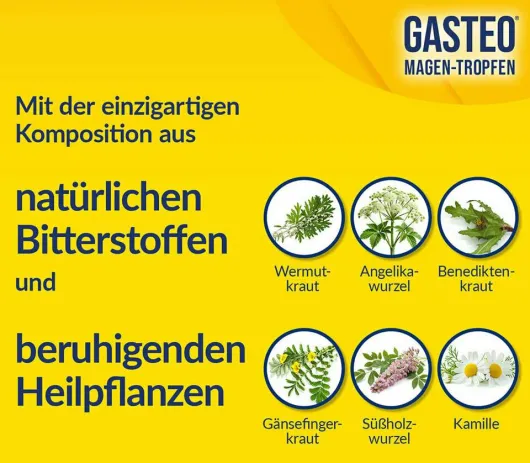 Gasteo Magen-Tropfen 100 ml